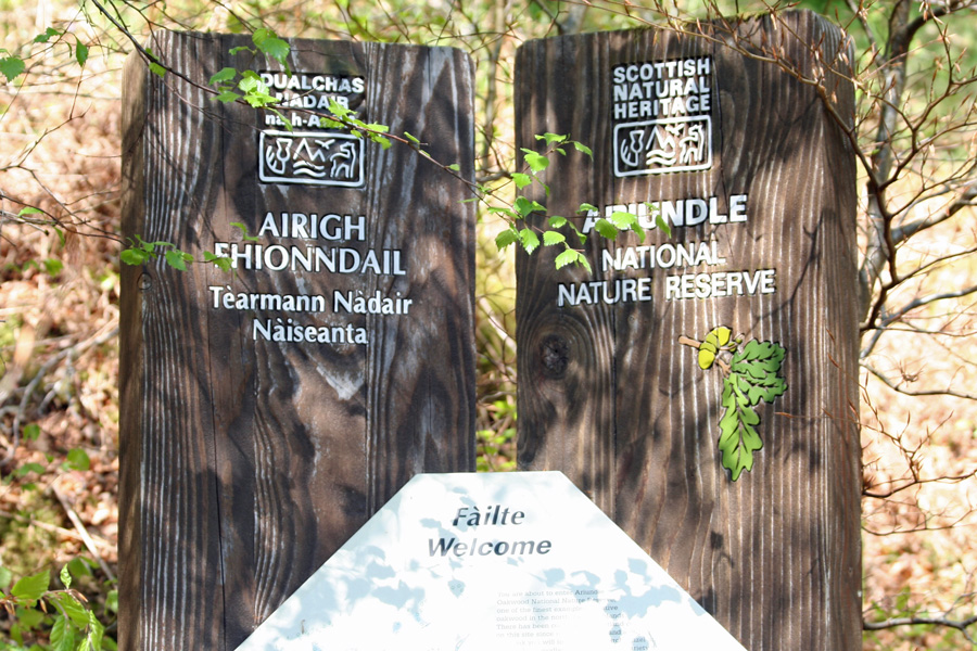The old National Nature Reserve sign for Ariundle Oakwoods