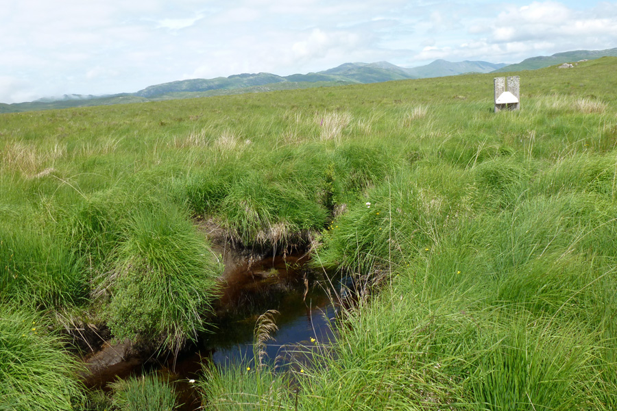 Claish Moss - boogy pools and purple moor grass