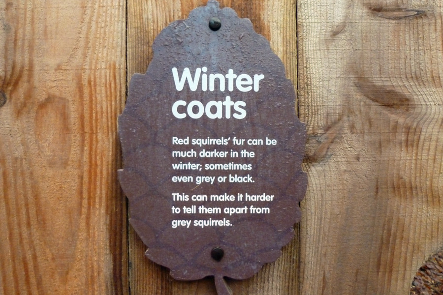 Winter coats