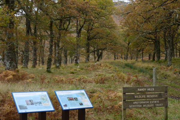 Rahoy Hills Scottish Wildlife Trust, Morven