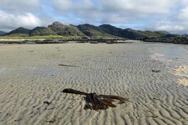 Sanna bay at low tide with kelp washed up on the sandline.