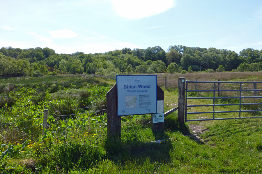The entrance to Shian Wood, a Scottish Wildlife Trust Reserve